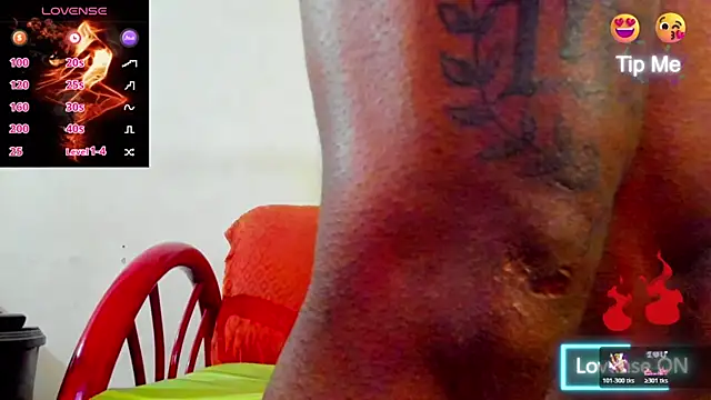 wotton 17 online show from 12.21.25