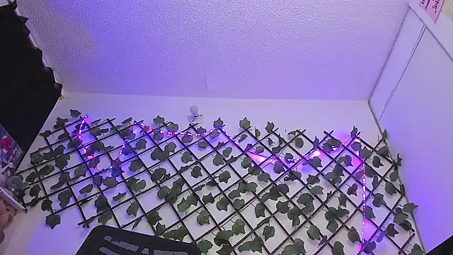 Pucaa  online show from 01.18.25