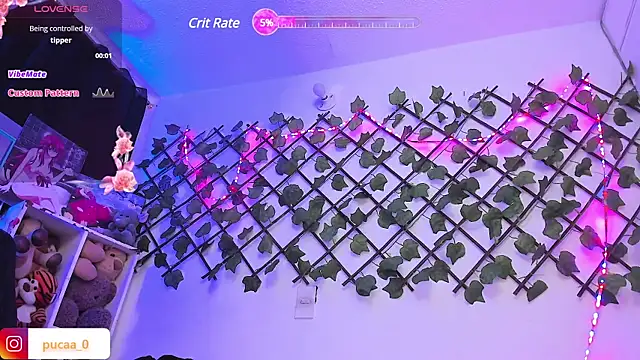 Pucaa  online show from 01.28.25