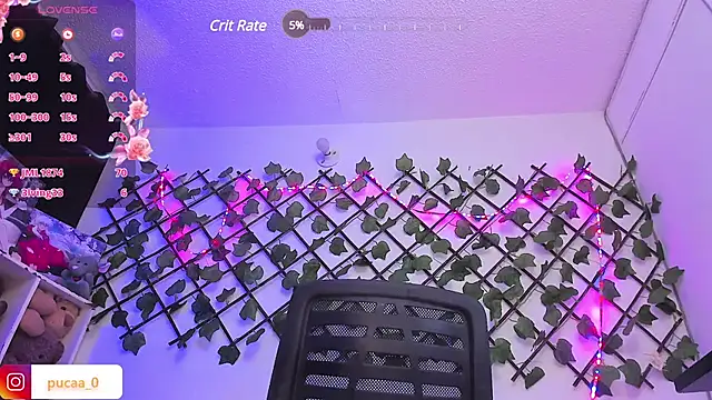 Pucaa  online show from 01.30.25