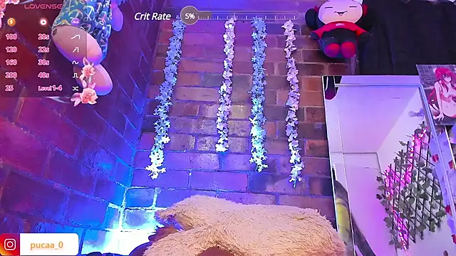 Pucaa  online show from 01.31.25