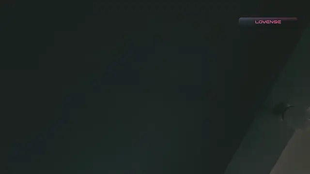 Snapshot of SilvaBranko chatting on 02.17.26 SilvaBranko online show from 02.17.26