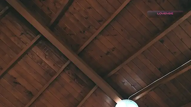 Snapshot of SilvaBranko chatting on 03.02.26 SilvaBranko online show from 03.02.26