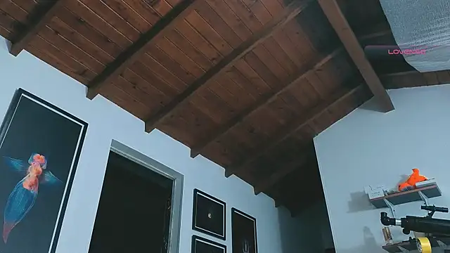 SilvaBranko online show from 03.14.26