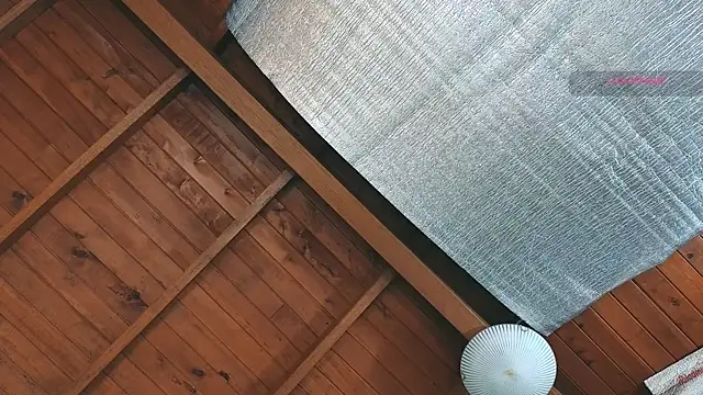 SilvaBranko online show from 03.27.26