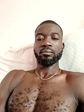 Bulletact online show from 02.23.26