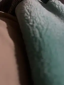 Snapshot of cheesecoc chatting on 02.17.26 cheesecoc online show from 02.17.26