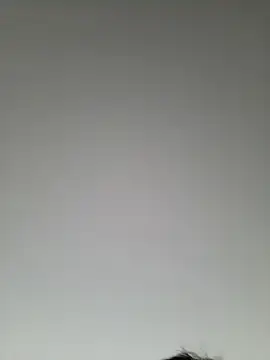 high andlow420 online show from 03.08.25