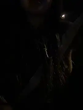 Snapshot of -mirai- chatting on 02.28.25 -mirai- online show from 02.28.25