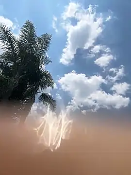 Snapshot of THEBUTTERNUT chatting on 02.06.26 THEBUTTERNUT online show from 02.06.26