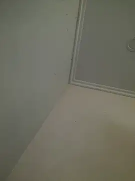 Snapshot of CieloTaylor chatting on 02.25.26 CieloTaylor online show from 02.25.26