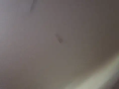 Gin4Cole online show from 09.25.25