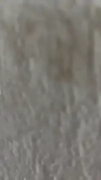 Snapshot of Ishikarana chatting on 10.08.25 Ishikarana online show from 10.08.25