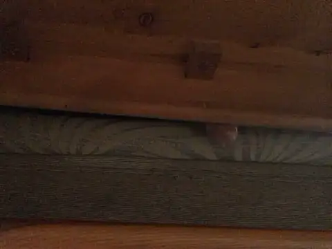 Dicksexhandjob online show from 02.21.25