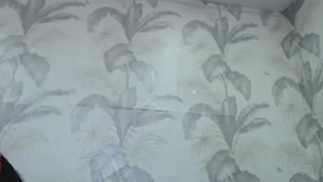 CamDiva113 online show from 02.08.25