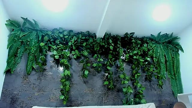 alice greco online show from 11.24.25