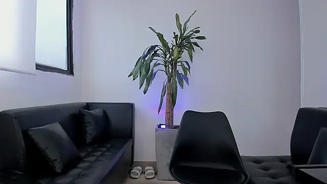 alice greco online show from 02.03.26