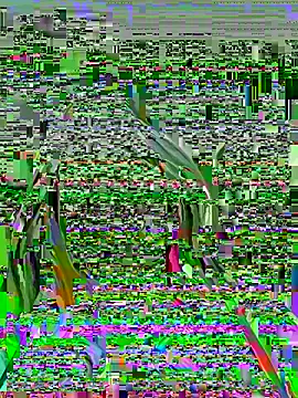 Snapshot of Vikki_toriya chatting on 03.01.26 Vikki toriya online show from 03.01.26