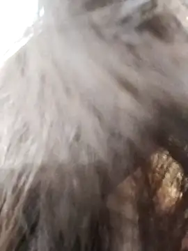 Snapshot of Kiritika_1 chatting on 03.25.26 Kiritika 1 online show from 03.25.26