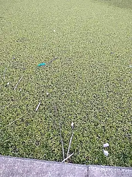 Snapshot of Eduardoxxx51 chatting on 12.03.25 Eduardoxxx51 online show from 12.03.25