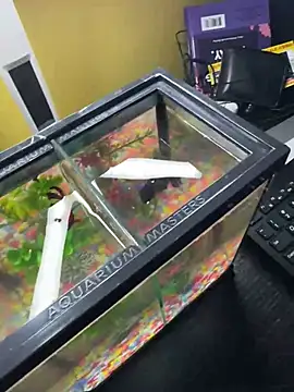 VFuck4U xxx online show from 03.10.25