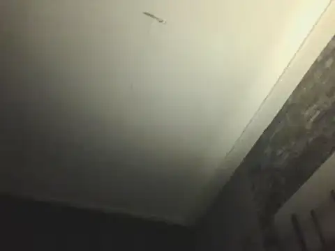 Prehistorixxx2686 online show from 01.12.25