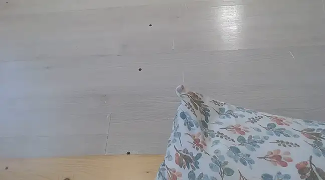 CRISTIINA37 online show from 03.19.25