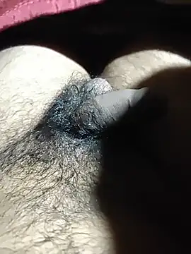 Rahul sharma horny online show from 03.13.25