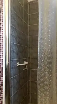 pachapeter online show from 02.22.25