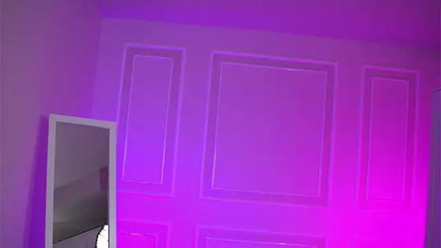 EvaZane online show from 11.06.25