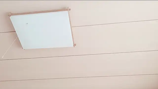 xxArisaxx online show from 01.10.26