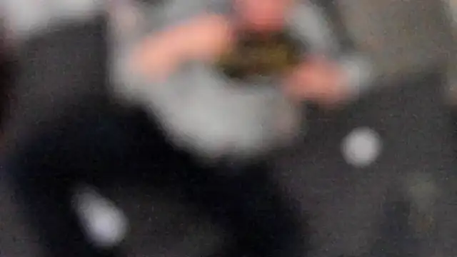 Snapshot of stillwild chatting on 02.06.25 stillwild online show from 02.06.25