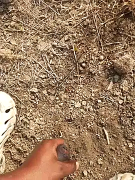 Snapshot of Ajith_mvi chatting on 02.18.26 Ajith mvi online show from 02.18.26