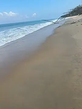 sexntease online show from 03.05.25