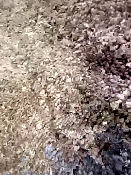 christian0009 online show from 12.18.25