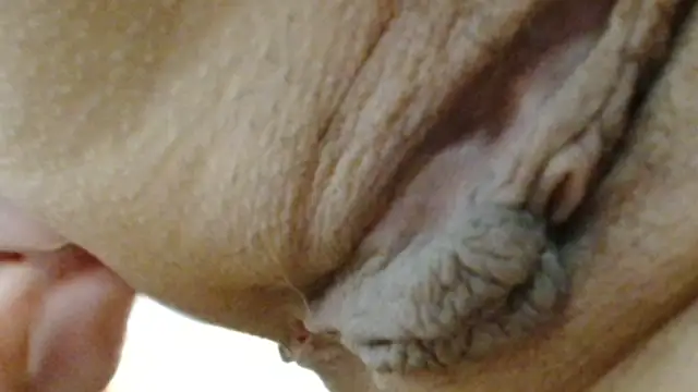 Snapshot of sonyx chatting on 03.24.26 sonyx online show from 03.24.26