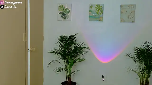 Snapshot of Liam_Taylor chatting on 12.03.25 Liam Taylor online show from 12.03.25