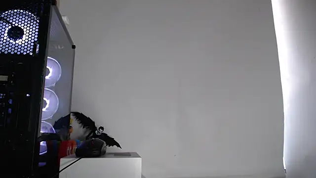 harold 18  online show from 10.02.25