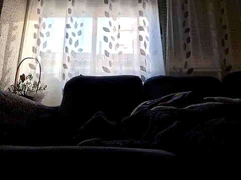 Javier bear online show from 02.26.25