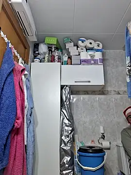 Javier bear online show from 12.19.25