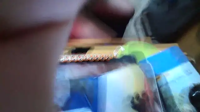 Javier bear online show from 01.15.26