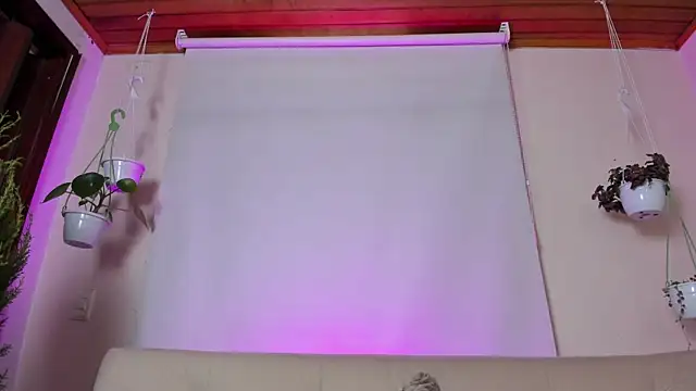 Snapshot of roselinedior chatting on 01.27.25 roselinedior online show from 01.27.25