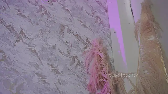 roselinedior online show from 12.02.25