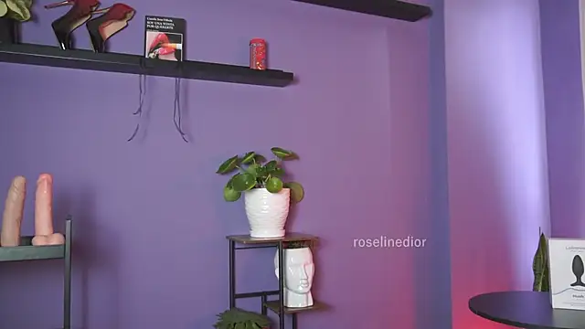 roselinedior online show from 05.19.26