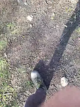 FreezingTie850 online show from 03.11.26