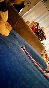 fukurbutt online show from 02.19.26