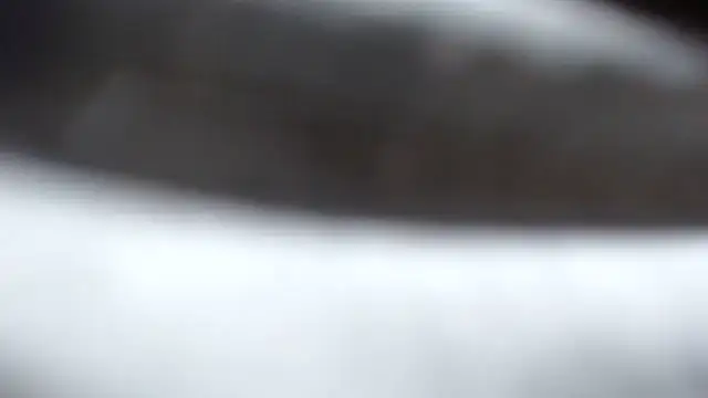 BERNINIBLUSHX89 online show from 03.10.25