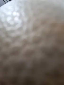 Kamarasa69 online show from 12.18.25