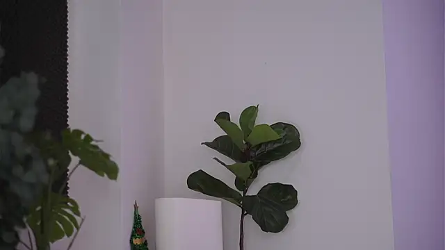 NicoleSarahX online show from 02.07.25