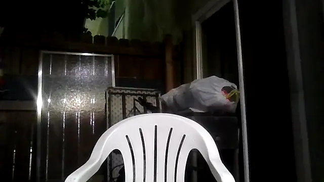 MrDickUdown24 7 online show from 02.09.26